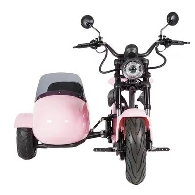 Rango de 60-80 km por carga Scooter electrónico inteligente de tres ruedas para el transporte