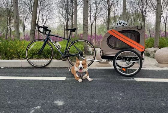Carruaje para niños Carrera de bicicletas Trailer para mascotas Trailer para campamento al aire libre con neumático delantero de 14 pulgadas