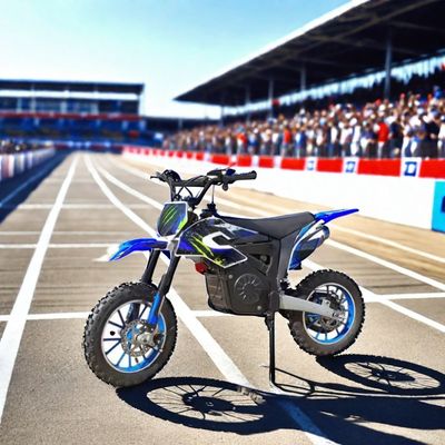 Motocicleta eléctrica de 1200W con pegatinas y velocidad máxima 40 60km/h Motocicletas todoterreno