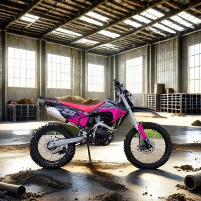 Electric Start 250cc Enduro Dirt Bike Max. Velocidad de 100 km/h Ideal para aventuras fuera de carretera