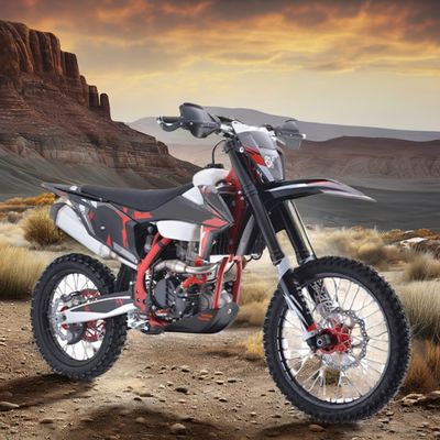 Aotong Motor Pit Bike Dirt Bike Pocket Bike Moto Cross Motor de 300cc con motor de suministro y disco de freno