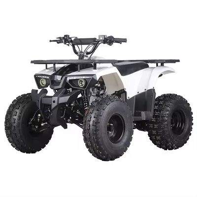 110cc 125cc ATV de tracción en cadena con certificado CE Velocidad máxima 50-75Km/h y materiales