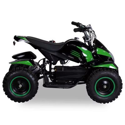 800w 1000w Moto 36v Mini Beach Buggy Cuadriciclo 500W eléctrico Cuad ATV para niños