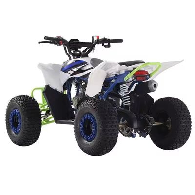 2024 Farm ATV 110cc ATV Gas 125cc Quad Bikes con capacidad de conducción automática por cadena ≥25°
