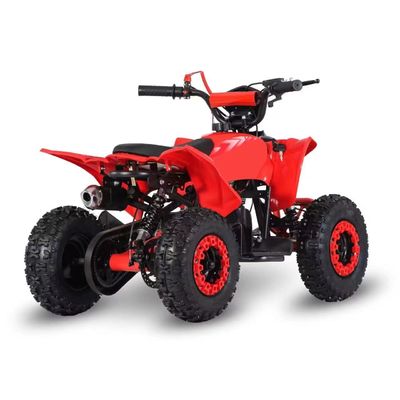 Conducción Tipo 2WD 2024 49cc 50cc 2 tiempos Mini Quad bicicletas de gasolina ATV para niños con CE
