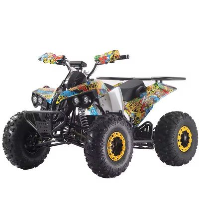 Colores personalizados 1000W/1500W ATV Cuádruples con Freno de disco Ft Rr