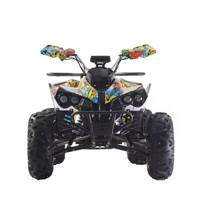 Colores personalizados 1000W/1500W ATV Cuádruples con Freno de disco Ft Rr