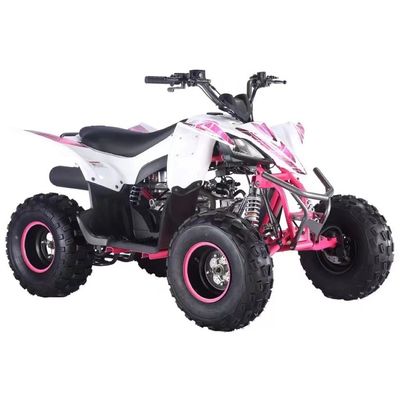 Vehículo todo terreno ligero de carreras CVT con tipo de motor de 4 tiempos y peso ≤ 100 kg