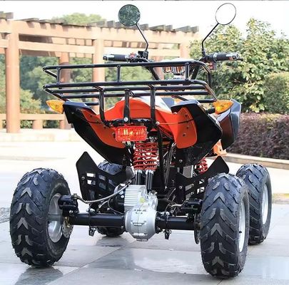 800w/1000w 48v/60v ATV Motor sin escobillas eléctrico 4 ruedas Quad Bike ATV para una conducción suave