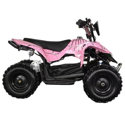 4.10-6/13X5.0-6 Pneumático Aotong Motor 800w/1000w Electric Power Deportes Quad Bike para Niños