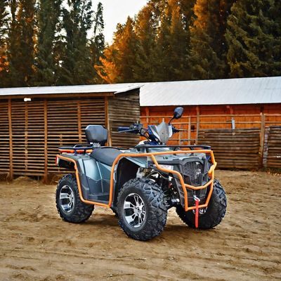Colores personalizados 2024 Farm Quads 300cc 4x4 Gran potencia Utilidad ATV con capacidad de grado