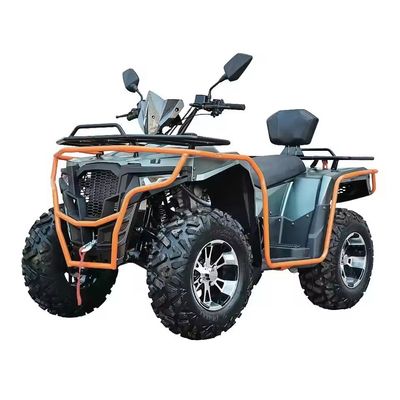 Colores personalizados 2024 Farm Quads 300cc 4x4 Gran potencia Utilidad ATV con capacidad de grado