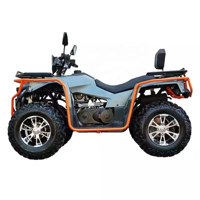 Colores personalizados 2024 Farm Quads 300cc 4x4 Gran potencia Utilidad ATV con capacidad de grado