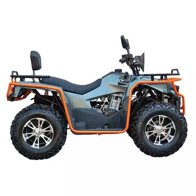Colores personalizados 2024 Farm Quads 300cc 4x4 Gran potencia Utilidad ATV con capacidad de grado
