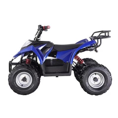 Mini ATV eléctrico a un precio asequible con capacidad de inclinación ≥ 25° y bloqueo diferencial