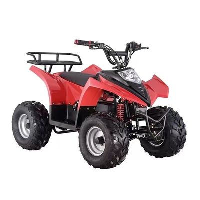 Mini ATV eléctrico a un precio asequible con capacidad de inclinación ≥ 25° y bloqueo diferencial