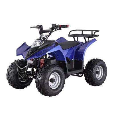 Mini ATV eléctrico a un precio asequible con capacidad de inclinación ≥ 25° y bloqueo diferencial