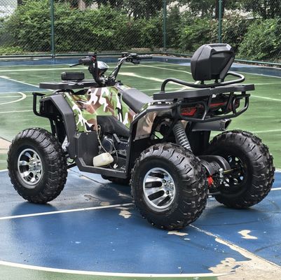 250cc Cuatro ruedas Beach Buggy Conducción en cadena Doble Cuatro ruedas Montaña Cuatrimoto ATV 4x4