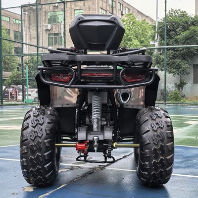 Desata tu aventurero interior 250CC ATV automático con accionamiento a cadena para conducir fuera de la carretera