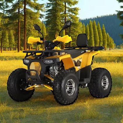 125cc Farm Quads ATV para adultos potente motor de gas / diesel y accionamiento en cadena