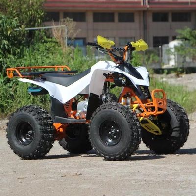 Cuatro ruedas con certificación CE 110cc 125cc 150cc 4 tiempos de gas