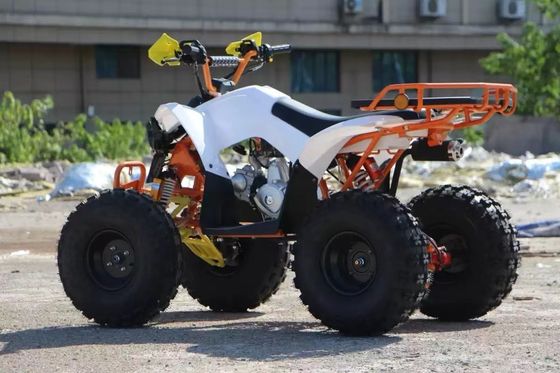 Cuatro ruedas con certificación CE 110cc 125cc 150cc 4 tiempos de gas