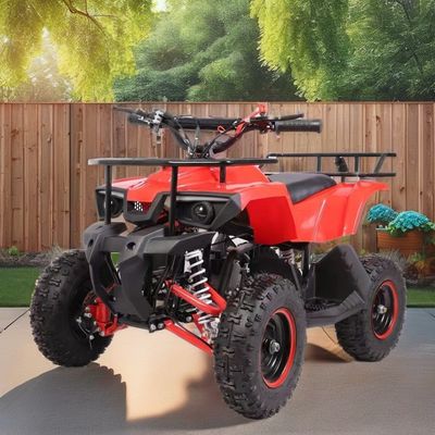 Mini Quad de 49 CC con bajo consumo de combustible Torque máximo Nm ≤ 20Nm Gas de combustible / diesel