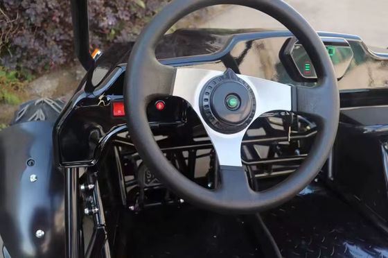 Carro eléctrico de dos asientos con sistema de freno de disco delantero y disco trasero y voltaje de 60V
