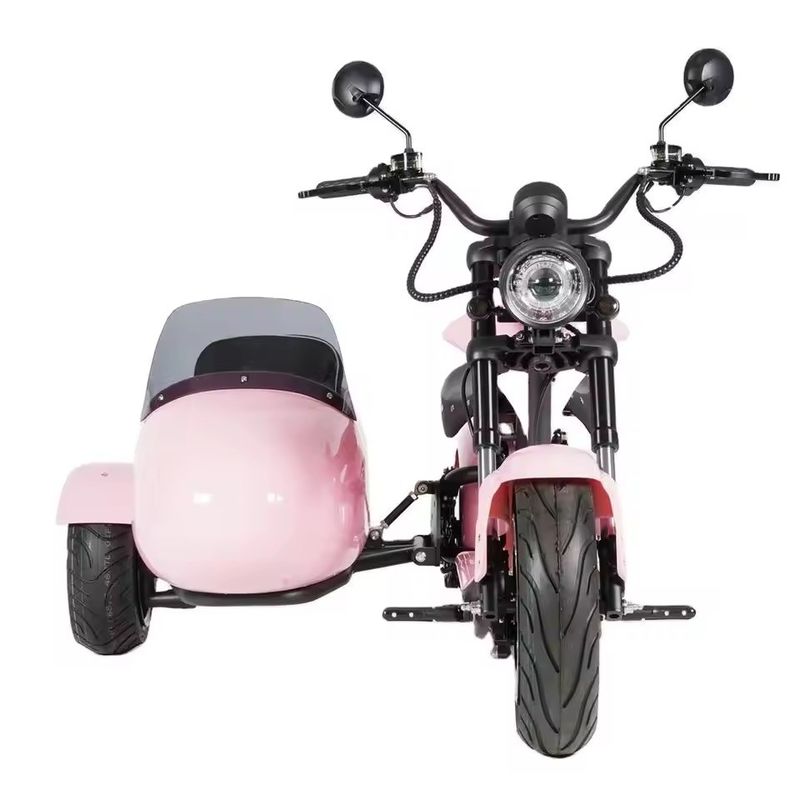 Motocicleta eléctrica con coche de acompañamiento de mascotas 1000W-3000W 60-80km Alcance 41-50km/h Velocidad máxima