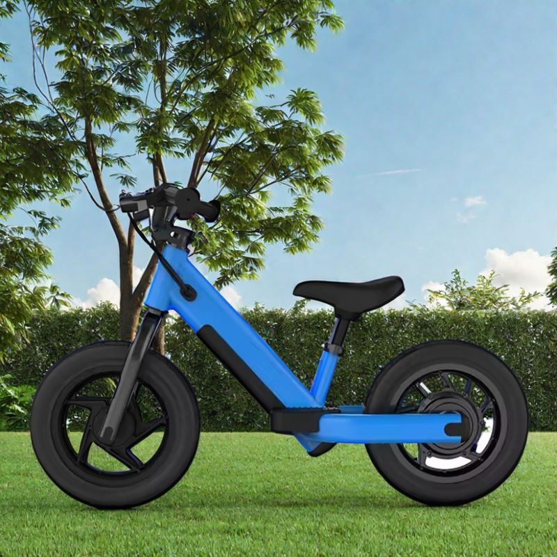 Bicicleta de equilibrio para niños eléctrica Mini Bicicleta de disco Freno y marco de acero para niños pequeños