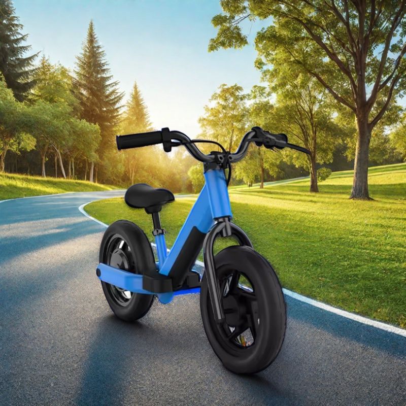 La aventura fuera de carretera se hace fácil con una bicicleta eléctrica de 200W y una batería de 24V