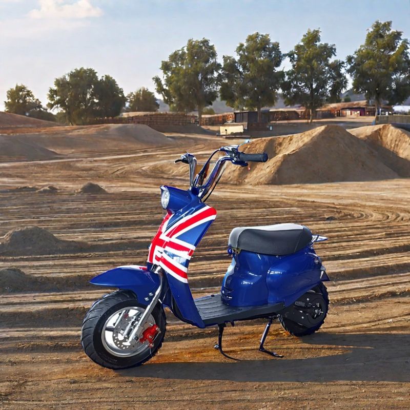 DISC freno de 49cc motor de gas mini bici de tierra para el deporte al aire libre de los niños en colores personalizados