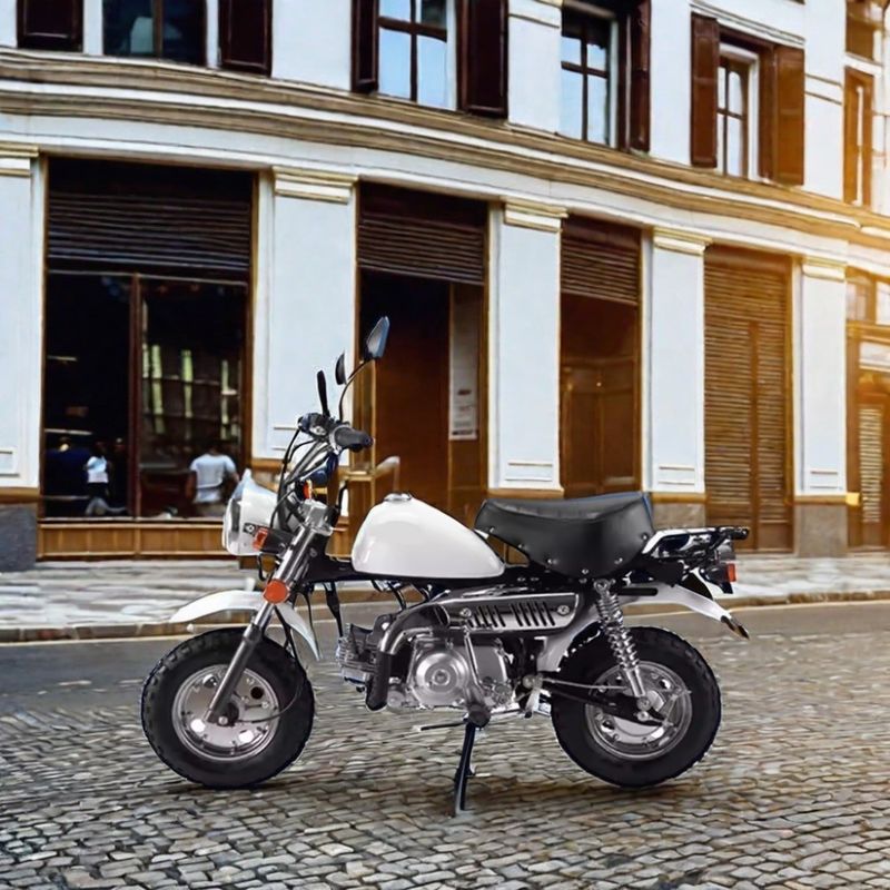 Off-Road Adventure 110cc Monkey Bike con certificado CE y colores personalizados compatibles