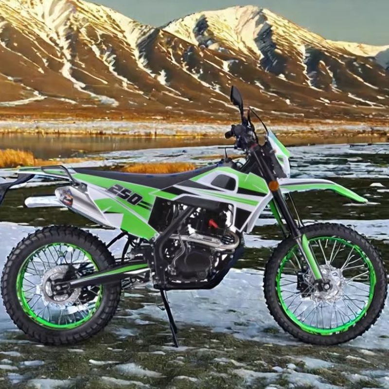 Motor de 250cc de colores personalizados con soporte de gasolina fuera de la carretera para adultos