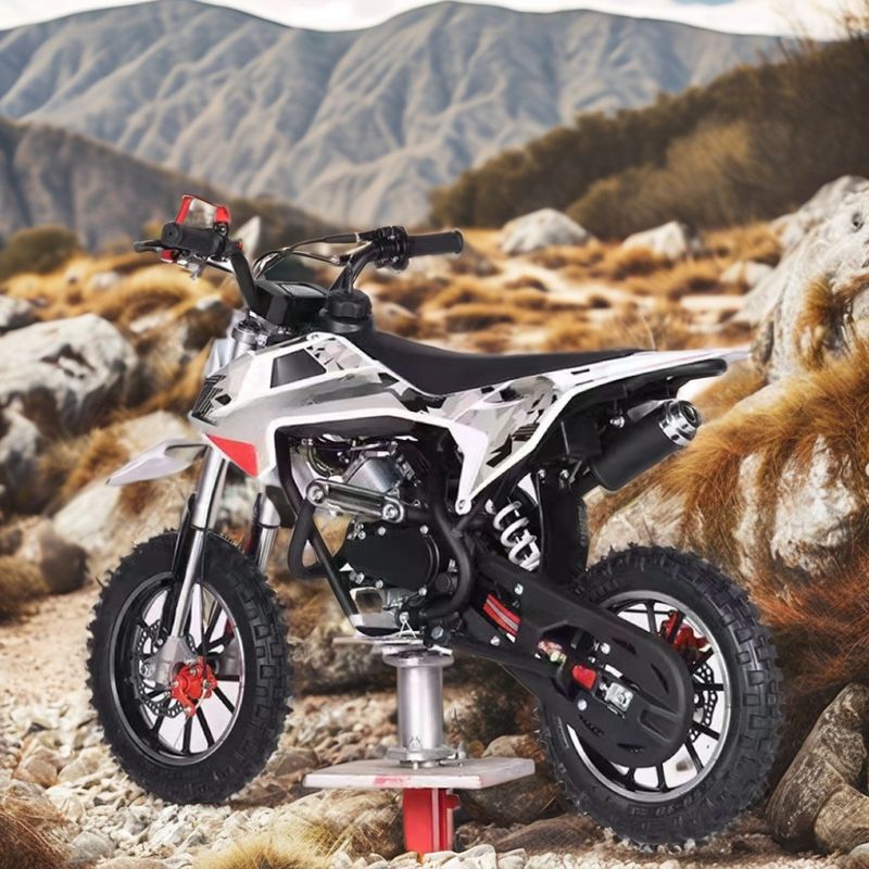 Colorado a medida con motor de 60CC 4 tiempos para niños con freno DISC