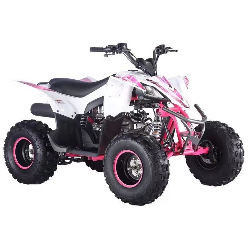 125cc Aotong Motor ATV Farm Quad Bike Transmisión automática colores personalizados soportados