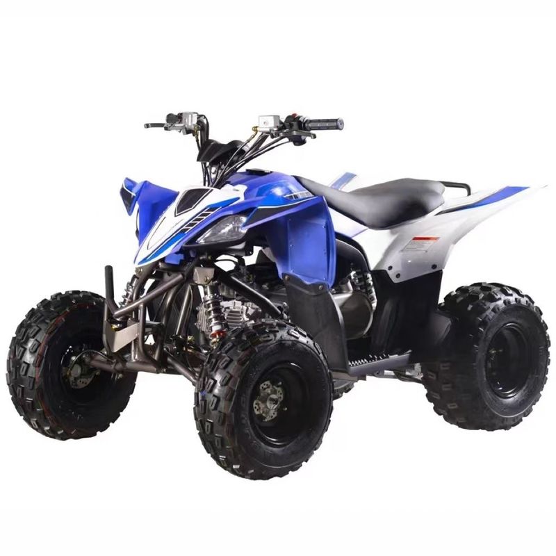 Vehículo todo terreno ligero de carreras CVT con tipo de motor de 4 tiempos y peso ≤ 100 kg