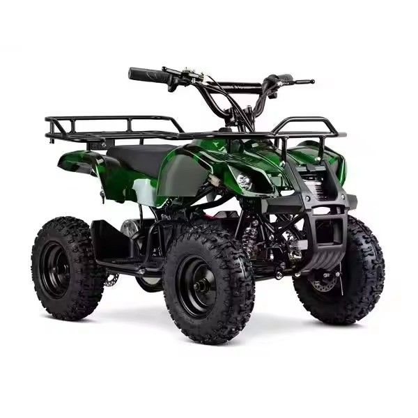 Sistema de freno del disco delantero del disco trasero Aotong Motor 36V 500W Kids Electric ATV Quad Bike