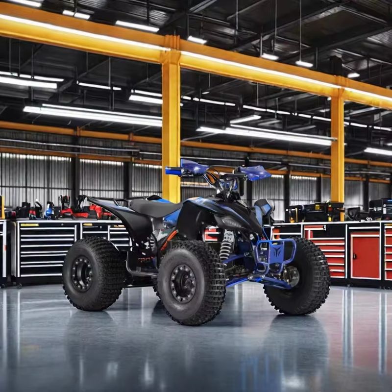 1500W ATV ecológico Cuatro ruedas Tiempo de carga h 7-9h Perfecto para montaña y playa
