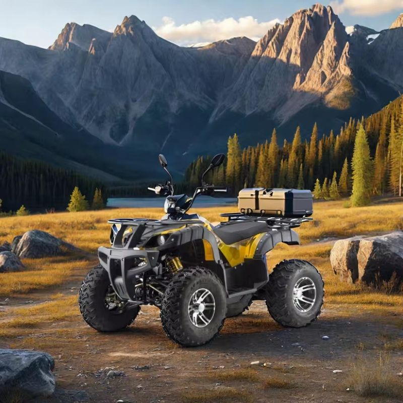 DISC Freno eléctrico 3000w Dune Buggy para adultos 1500w*2 UTV ATV 4x4 Vehículo todoterreno