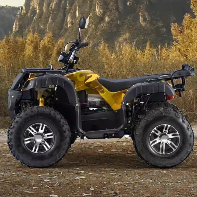 Adultos 3000W eléctrico ATV Quad Gas Alimentado 2WD 4WD con velocidad máxima de 50-75Km/h
