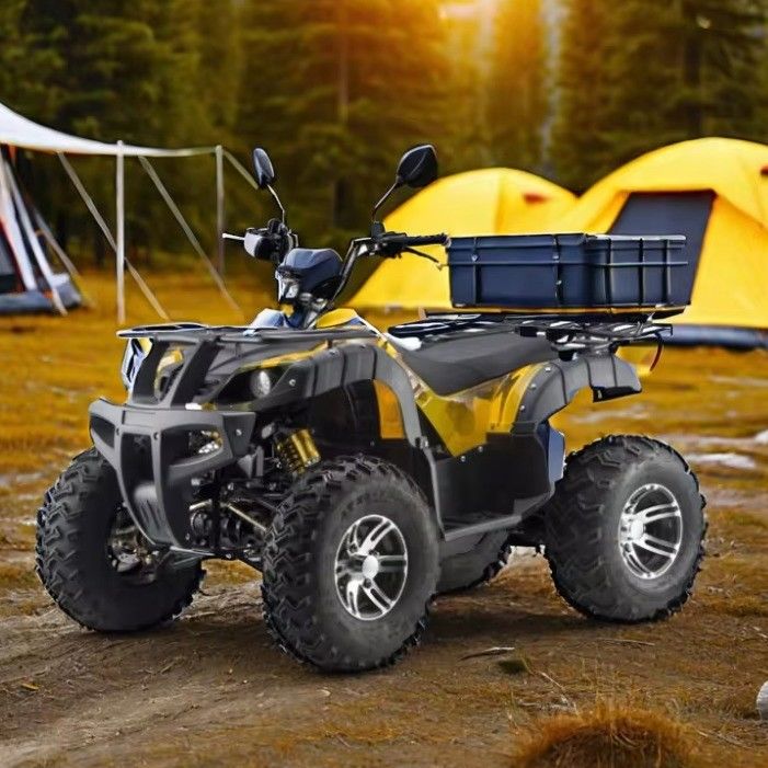 3000W 2wd/4wd ATV UTV Road Motocicleta todoterreno de cuatro ruedas con tipo de conducción conmutable