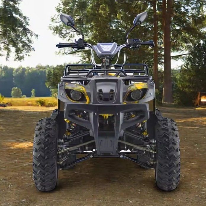 Potente 3000W 1500W 4WD 4x4 Moto ATV UTV 1000cc Cuad ATV con distancia entre ejes 1800-2200mm