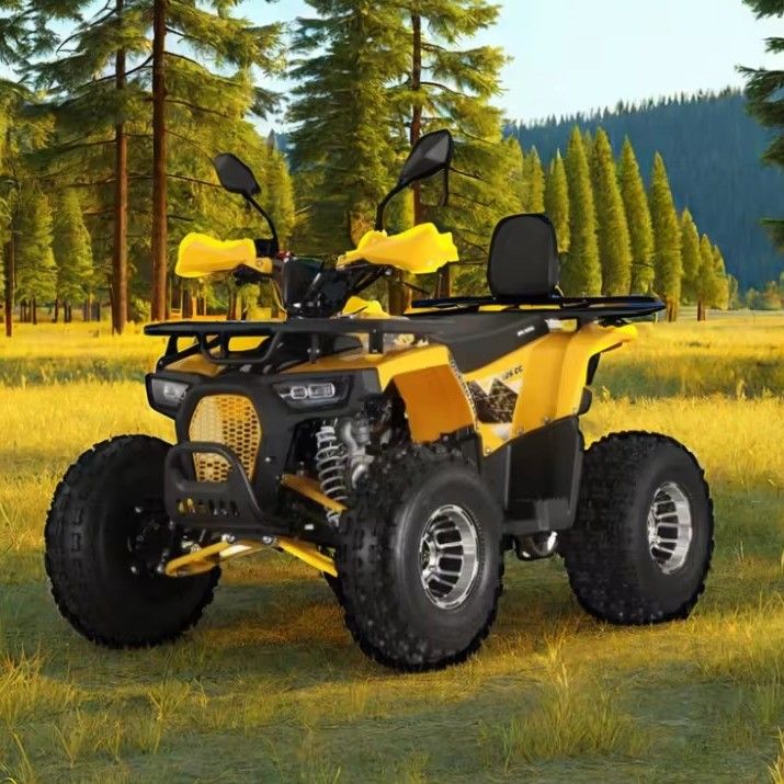 125cc Farm Quads ATV para adultos potente motor de gas / diesel y accionamiento en cadena