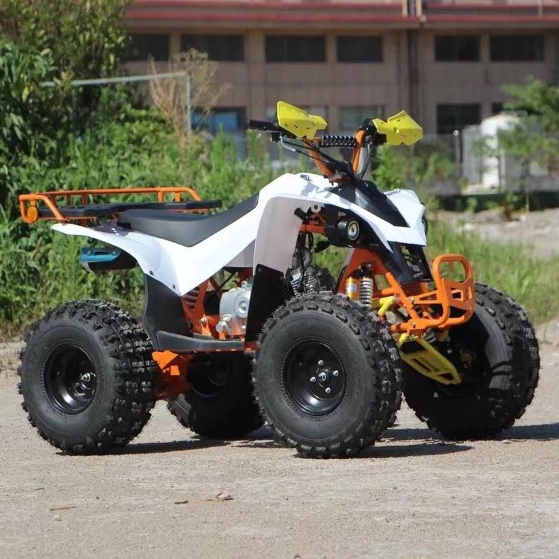 150cc 200CC 250CC Transmisión automática Cuatro ruedas fuera de carretera Quad Bike ATV para montaña