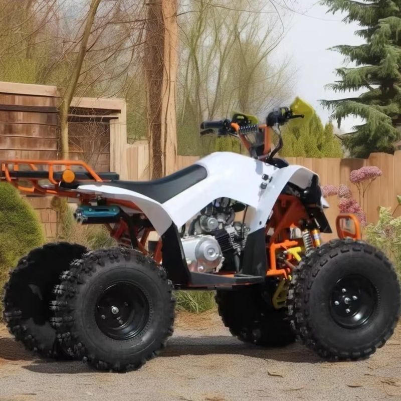 110cc-125cc ATV automático para adultos CE aprobado neumático de 8 pulgadas gasolina Quadbike ruedas grandes