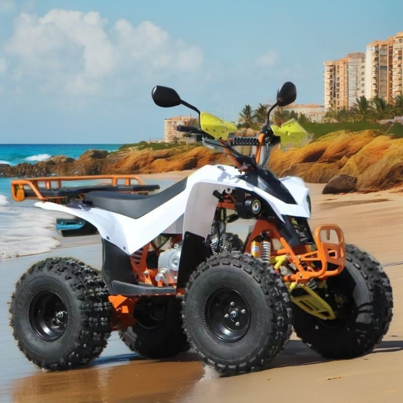 125/150cc ATV de utilidad de cuatro ruedas Tambor delantero Sistema de freno de disco trasero para necesidades agrícolas