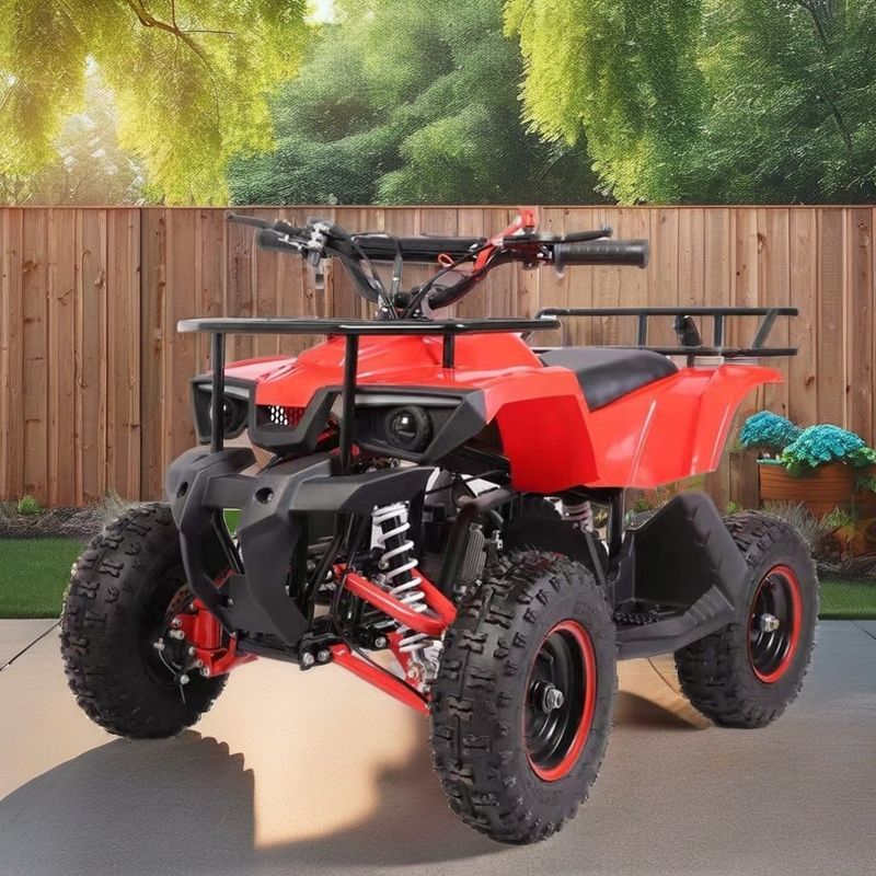 Mini Quad de 49 CC con bajo consumo de combustible Torque máximo Nm ≤ 20Nm Gas de combustible / diesel